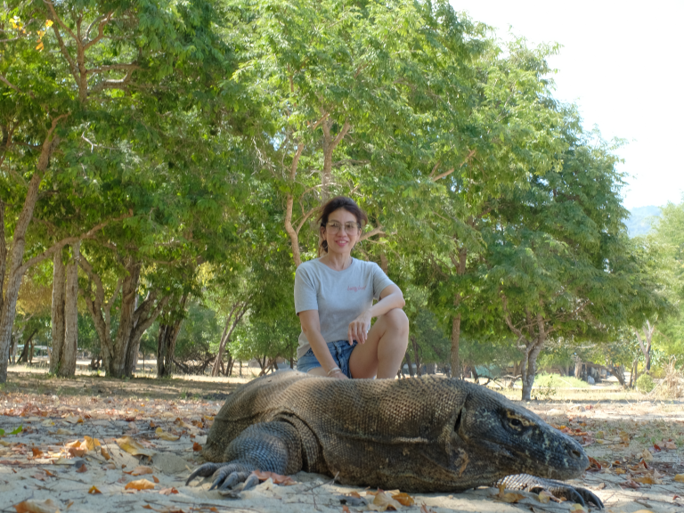 komodo island