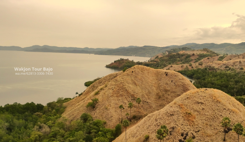 Bukit Sylvia Labuan Bajo