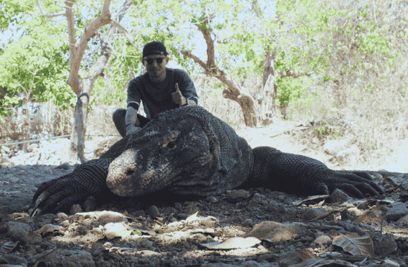 Sejarah Pulau Komodo