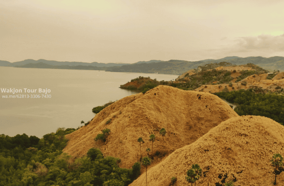 Bukit Sylvia Labuan Bajo: Spot Sunset Spektakuler yang Wajib Kamu Jelajahi! 2 Bukit Sylvia Labuan Bajo