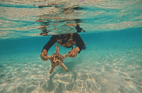 Pulau Kanawa Labuan Bajo, Tempatnya Surga Wisata 2 Pulau Kanawa Labuan Bajo