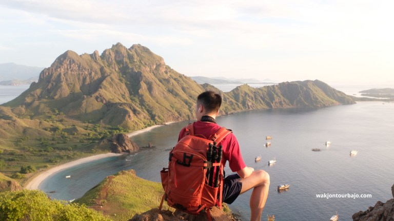 Pulau Padar Labuan Bajo