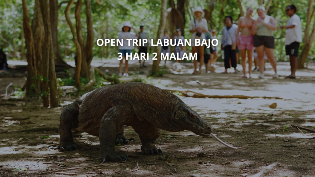 Open Trip Labuan Bajo 3 Hari 2 Malam