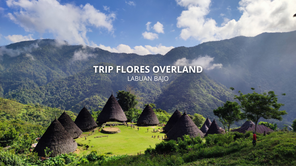 TRIP FLORES OVERLAND