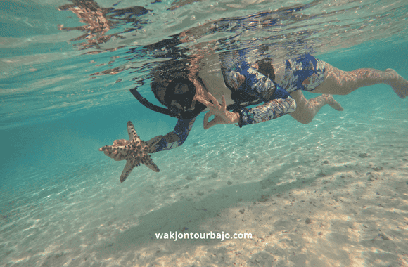 private trip labuan bajo 3 hari 2 malam