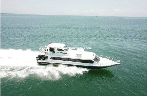 speed boat labuan bajo
