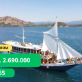 sailing komodo 3 hari 2 malam