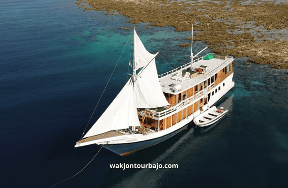sailing komodo 3 hari 2 malam