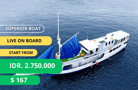 Trips 2 open trip labuan bajo