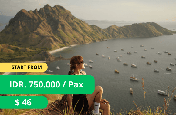 open trip labuan bajo 1 hari murah