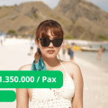 open trip labuan bajo 1 day