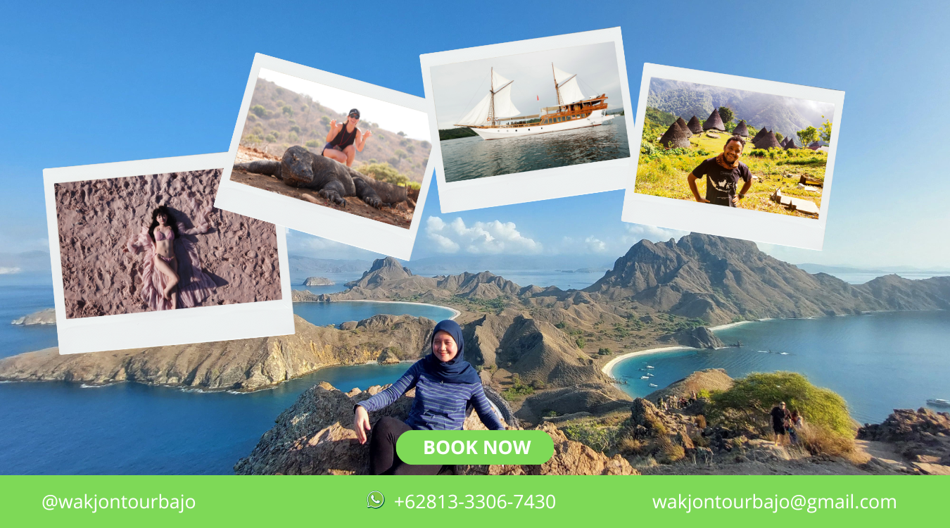 paket tour labuan bajo