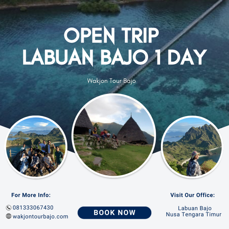 open trip labuan bajo 1 day