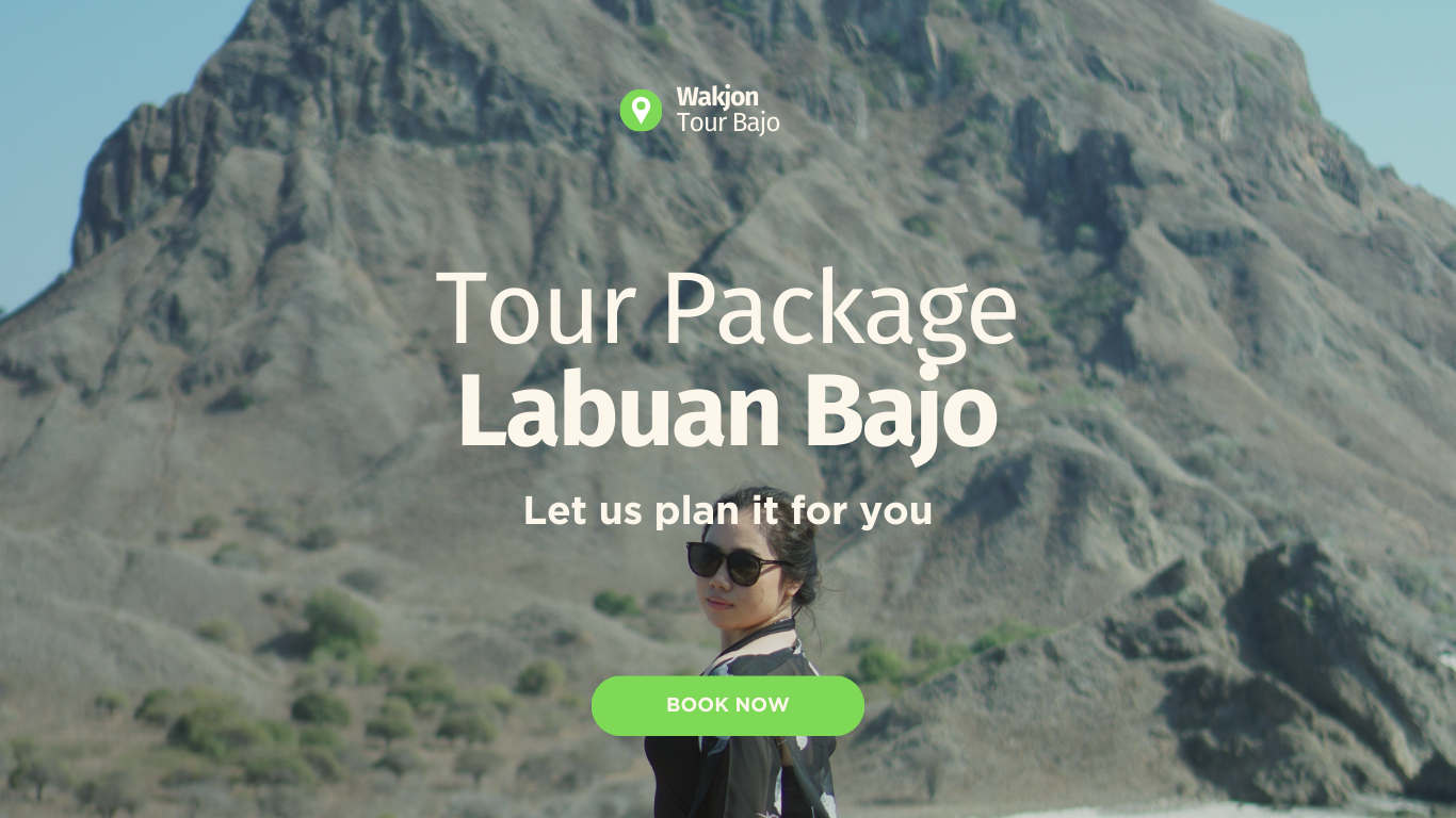 paket tour labuan bajo