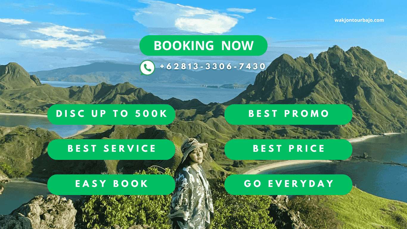 tour labuan bajo
