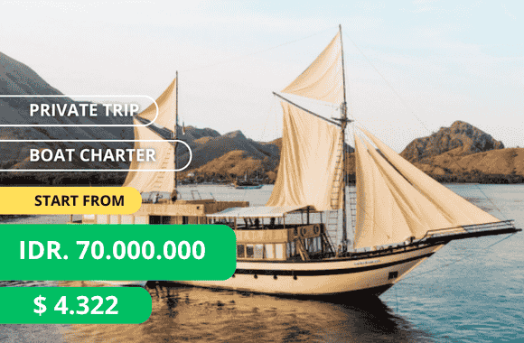 SEWA KAPAL PHINISI LUXURY LABUAN BAJO 6 kapal phinisi luxury labuan bajo