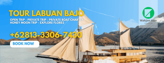 tour labuan bajo
