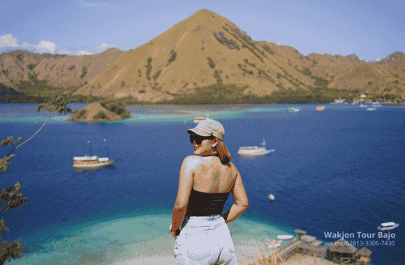 Open Trip Sailing Komodo 2025: Rekomendasi Terbaik untuk Traveler Pemula 2 Open Trip Sailing Komodo