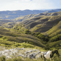 Open Trip Sumba 4 Hari 3 Malam