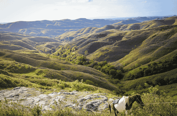 Open Trip Sumba 4 Hari 3 Malam