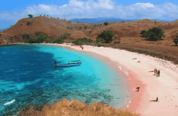 Harga & Paket Komodo Tour Labuan Bajo Terbaru 2025 | Open & Private Trip 2 Komodo Tour Labuan Bajo