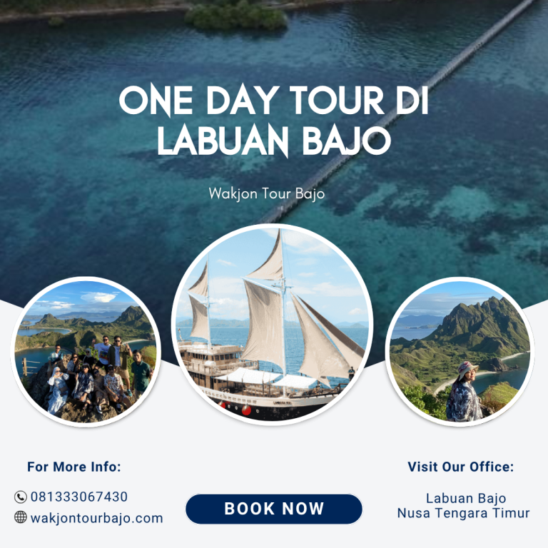 Day Trip Labuan Bajo Komodo