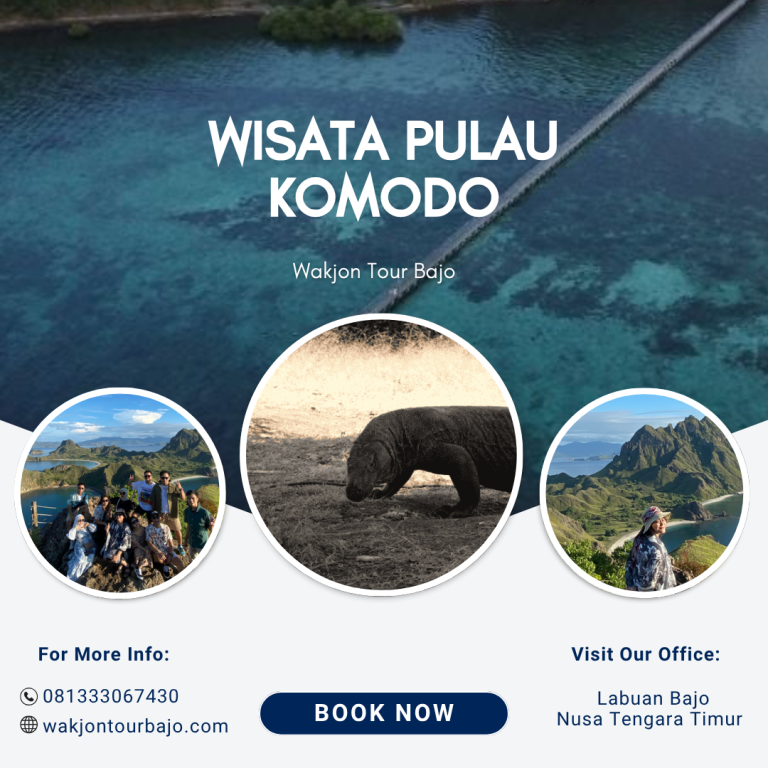 wisata pulau komodo