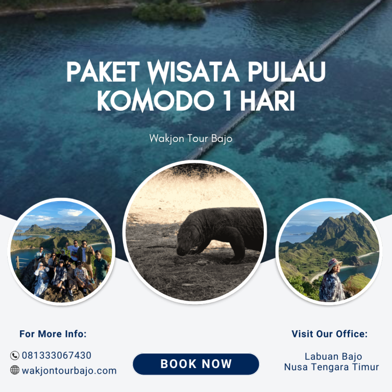 Paket Wisata Pulau Komodo 1 Hari
