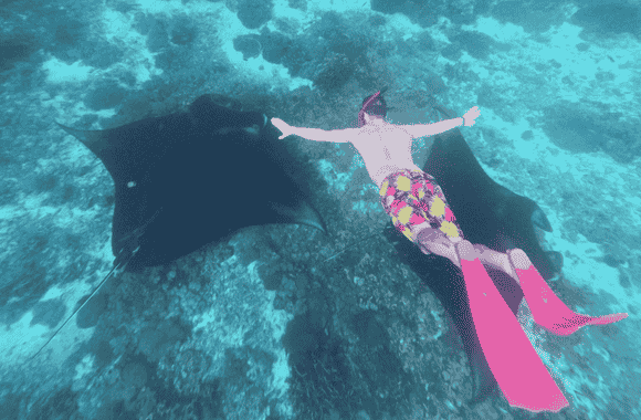 Diving Labuan Bajo