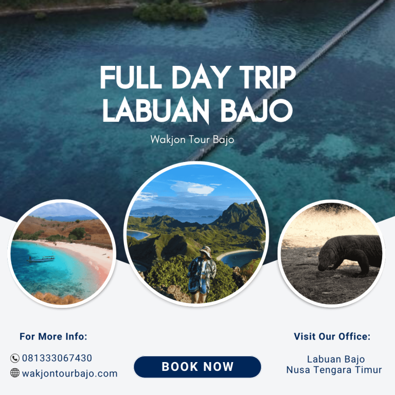Full day trip Labuan Bajo