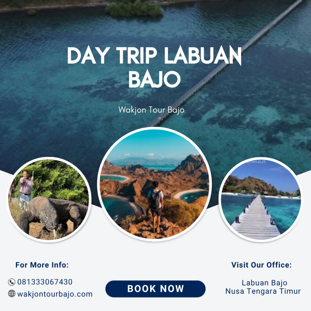 Day Trip Labuan Bajo