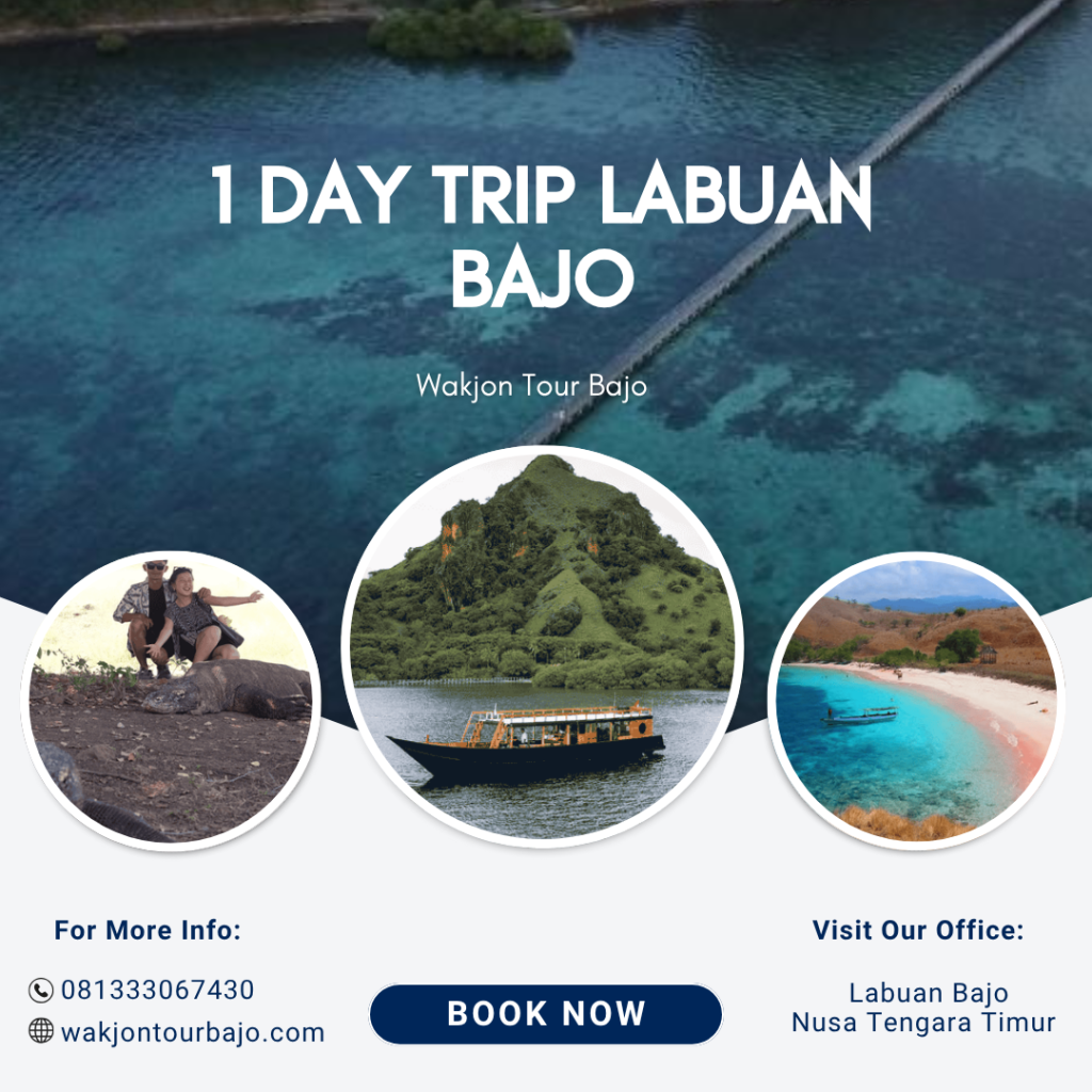 1 Day Trip Labuan Bajo