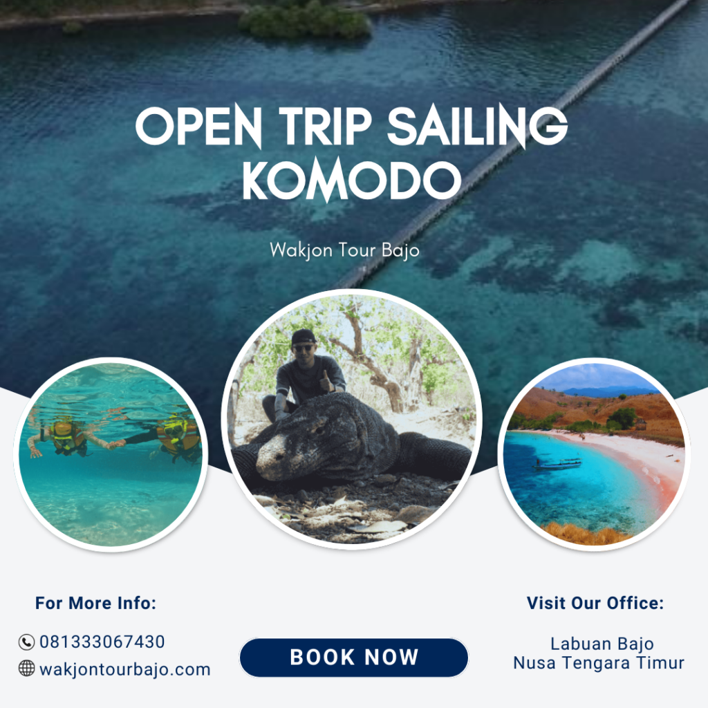 Open Trip Sailing Komodo