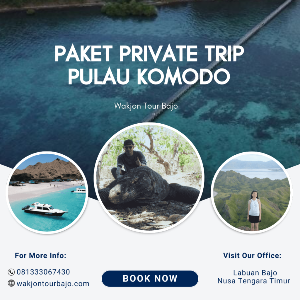 Paket Private Trip Pulau Komodo