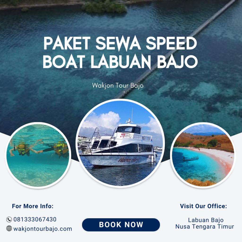 Paket Sewa Speed Boat Labuan Bajo