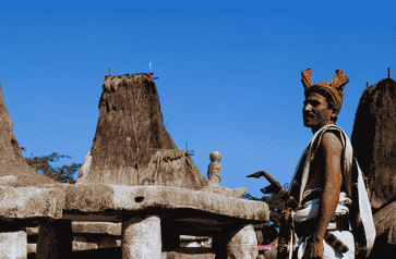 Tradisi Budaya Sumba